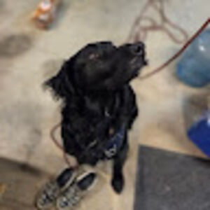 Meet your Posher, Charli